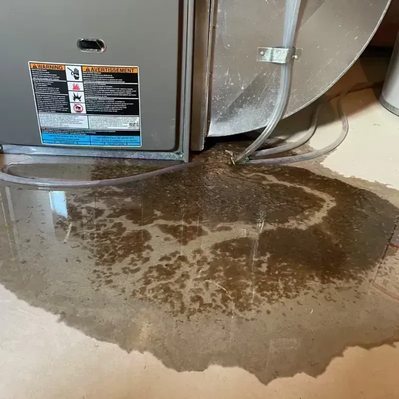 Appliance Leak Cleanup in Cape Girardeau County, MO